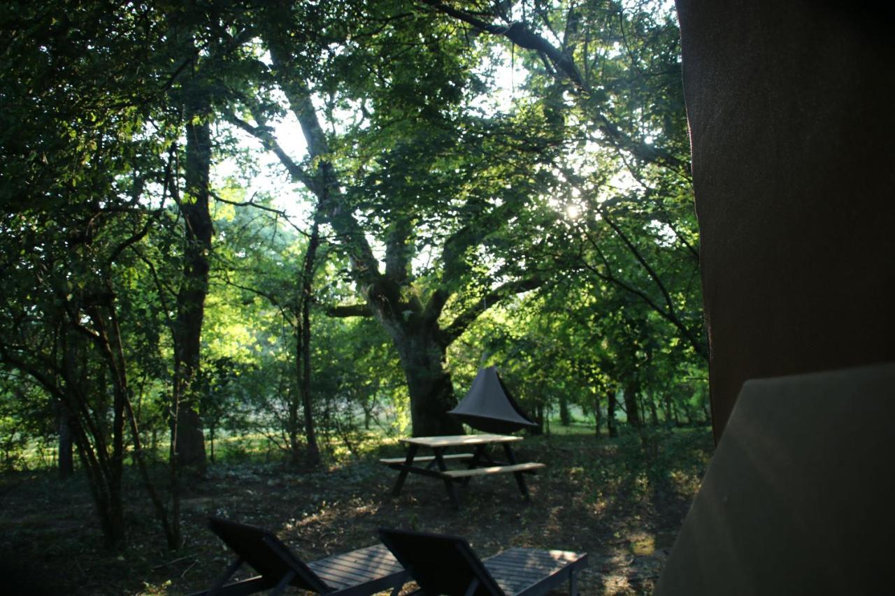 Ecolodge Beauregard Treigny Exterior foto